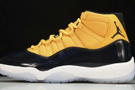 NEW 11 JORDAN AIR 1031